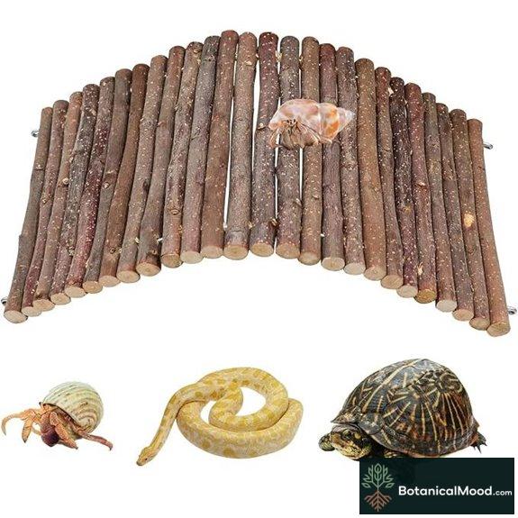 Hermit Crab Climbing Toys and Habitat Decor