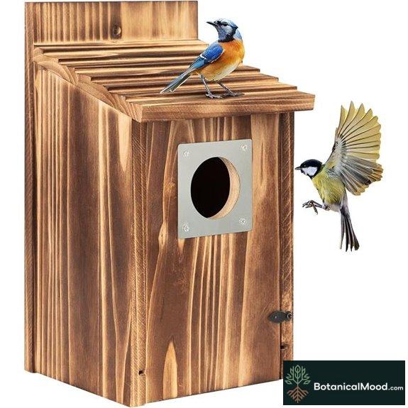 Bird House with Metal Predator Guard Easy to Clean