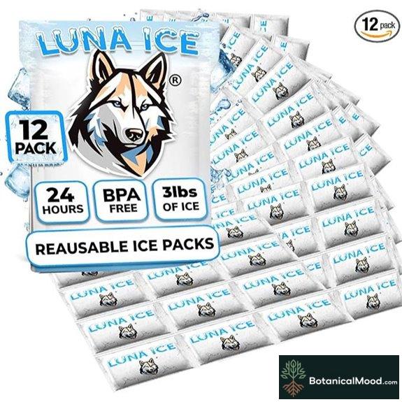Refrigeration Gel Packs - 12 Pack Long-Lasting Freeze