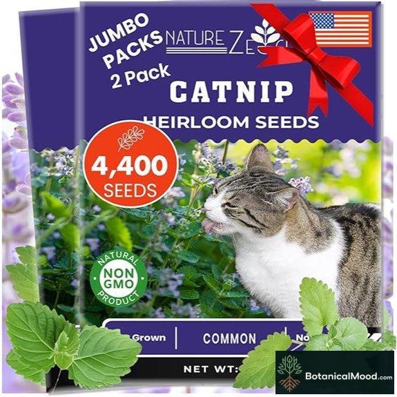 NatureZ Edge Catnip Seeds 2.6g Non-GMO