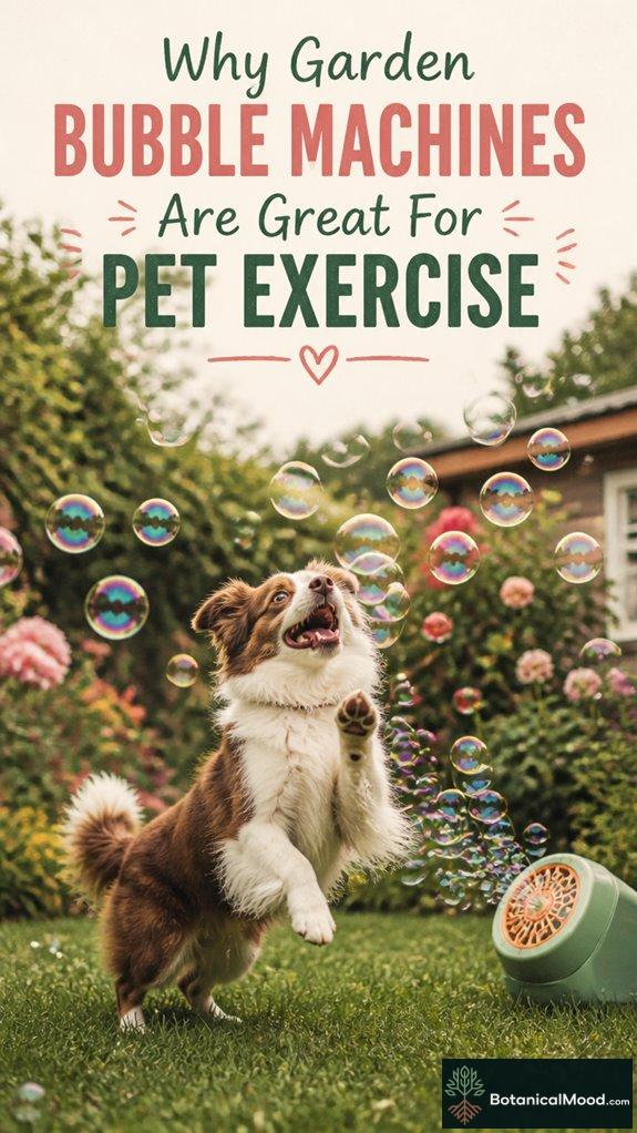pet exercise with bubbles