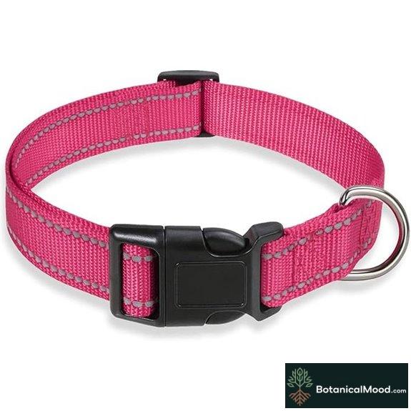 Reflective Adjustable Dog Collar with Buckle (Pink S)