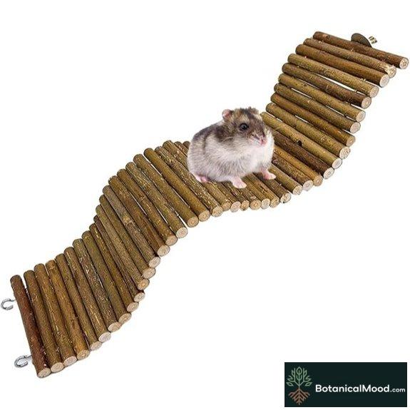 Rat Suspension Bridge and Climbing Ladder Toy