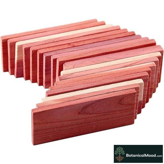 Cedar Space Red Cedar Blocks for Closet Storage