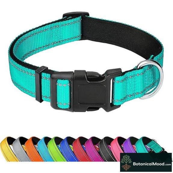 Reflective Neoprene Dog Collar for Medium Dogs