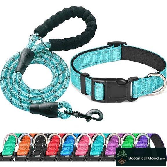 Ladoogo Reflective Padded Dog Collar & Leash (Medium)