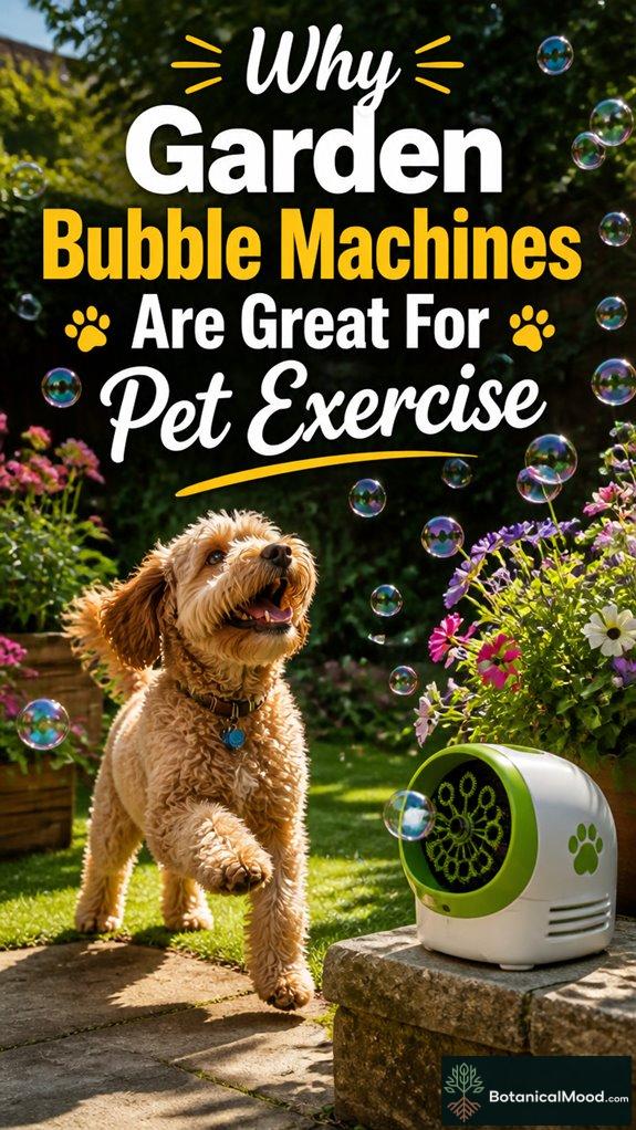 safe pet bubble play