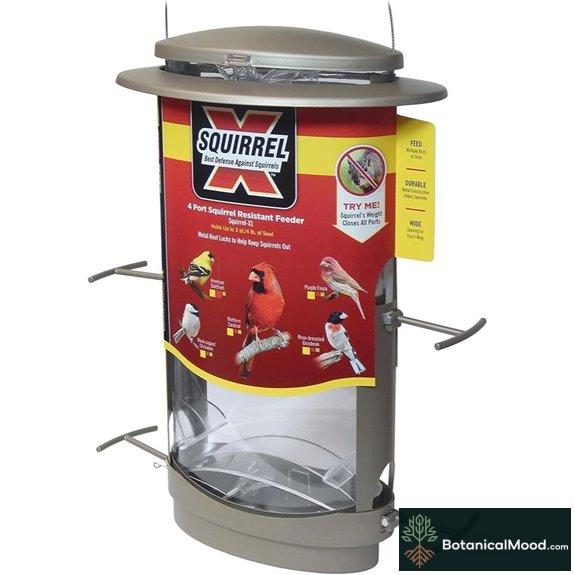 More Birds X-1 Squirrel-Proof Bird Feeder