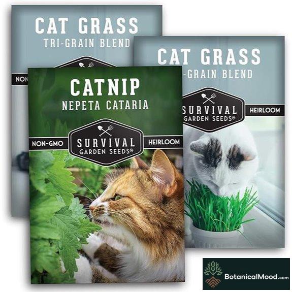 Cat Grass & Catnip Seeds Collection (3 Pack)