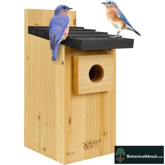 Wild Wings WWCH3 Cedar Blue Bird Box House