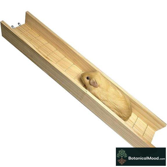 Guinea Pig Wooden Bridge & Ramp for Small Animals