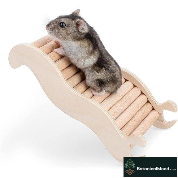 Niteangel Wooden Hamster Climbing Ladder Bridge (Small)